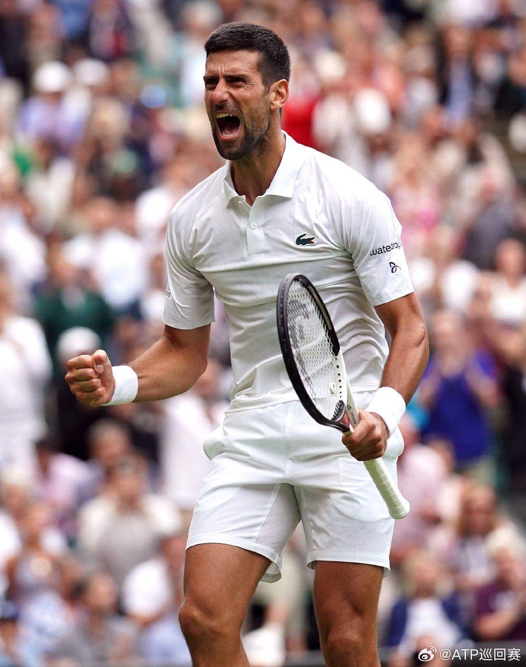 非依赖复杂 非依赖复杂